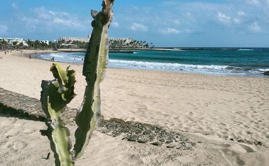 Villa Bella Lanzarote กอสตา เตกีสเซ ภายนอก รูปภาพ